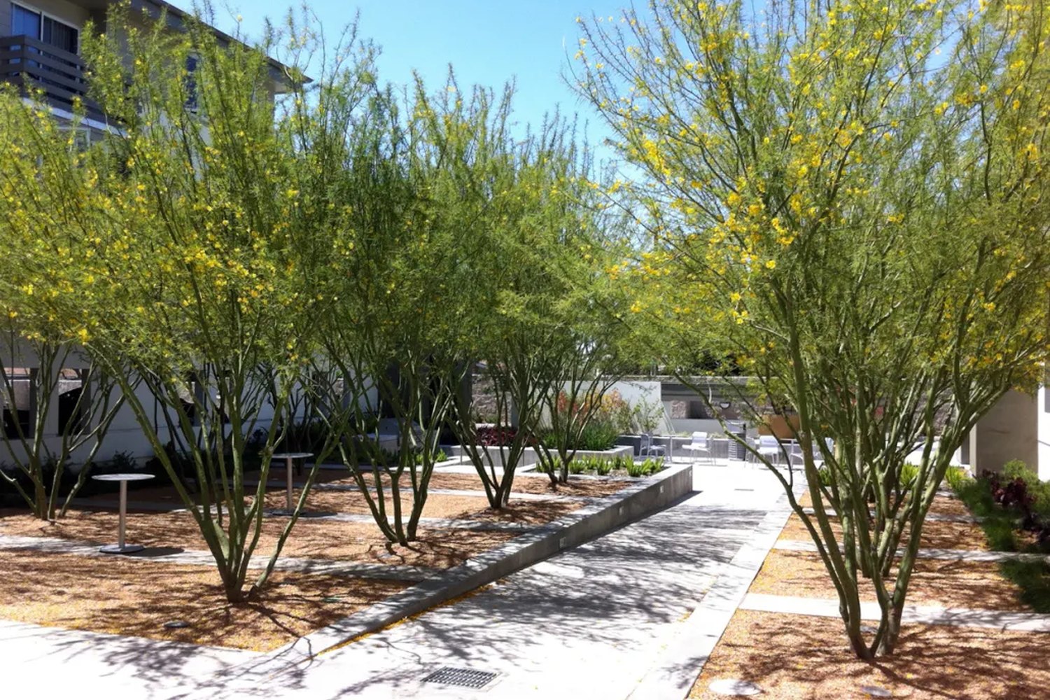 Glenoaks Garden — photograph 3 of 8