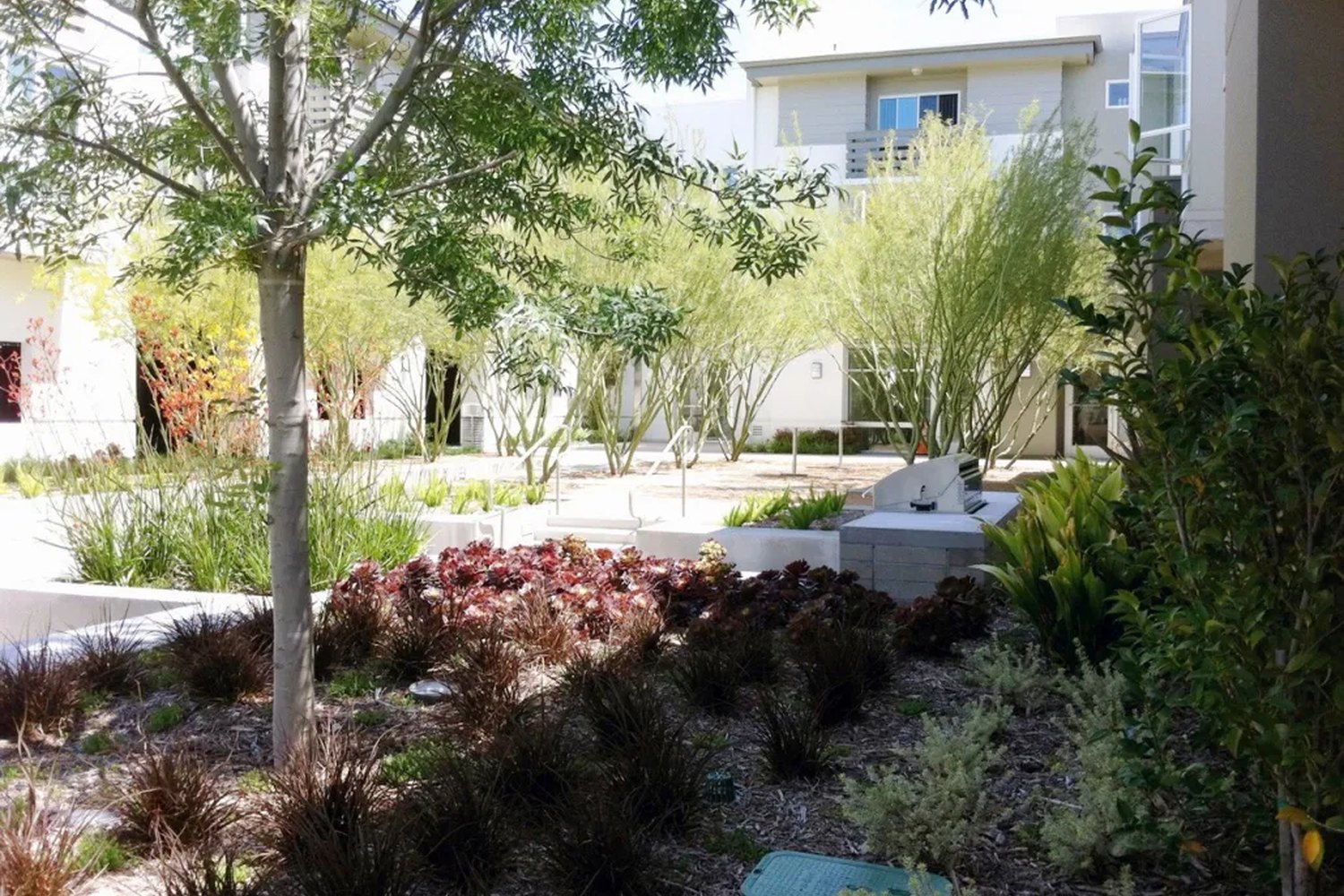 Glenoaks Garden — photograph 2 of 8