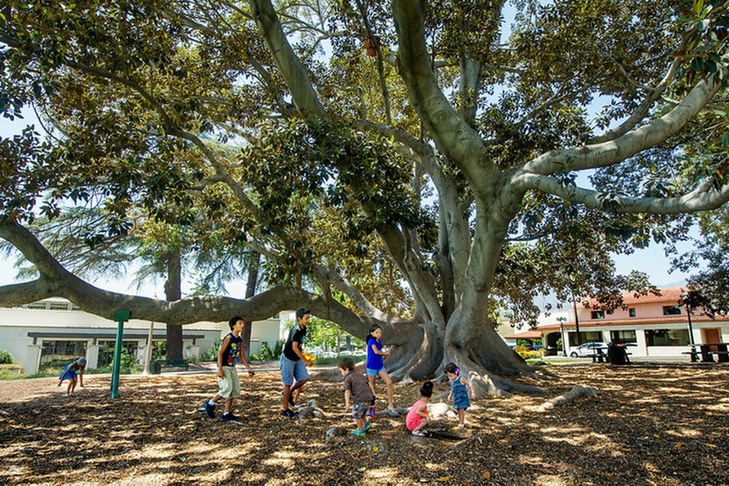 Monrovia Library — photograph 5 of 6