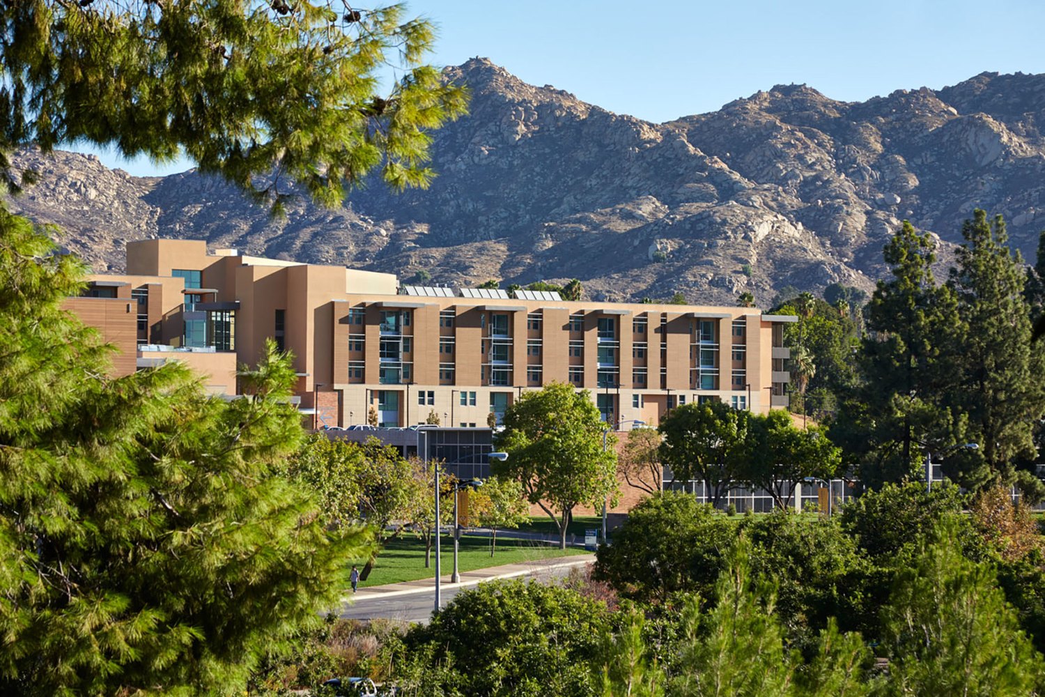 UCR Arroyo Student Housing — photograph 6 of 8