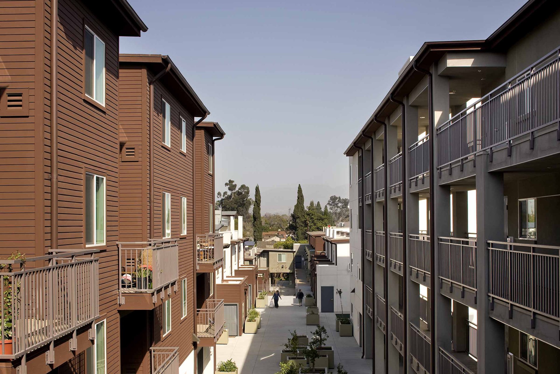 Ivy Terrace — photograph 1 of 3